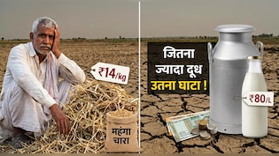 ₹100 में हो रहा तैयार और बिक रहा ₹80 में ! महाराष्ट्र में सूखे की मार से बिगड़ा दूध का गणित