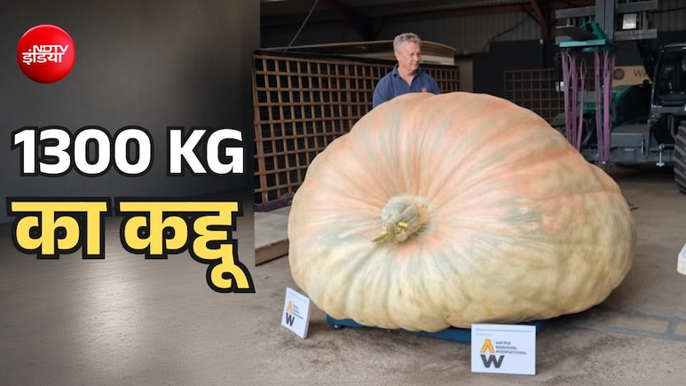 दादाजी ने उगाया दुनिया का सबसे भारी कद्दू, दरियाई घोड़े के बराबर है वजन, एक्सपर्ट्स भी हुए हैरान