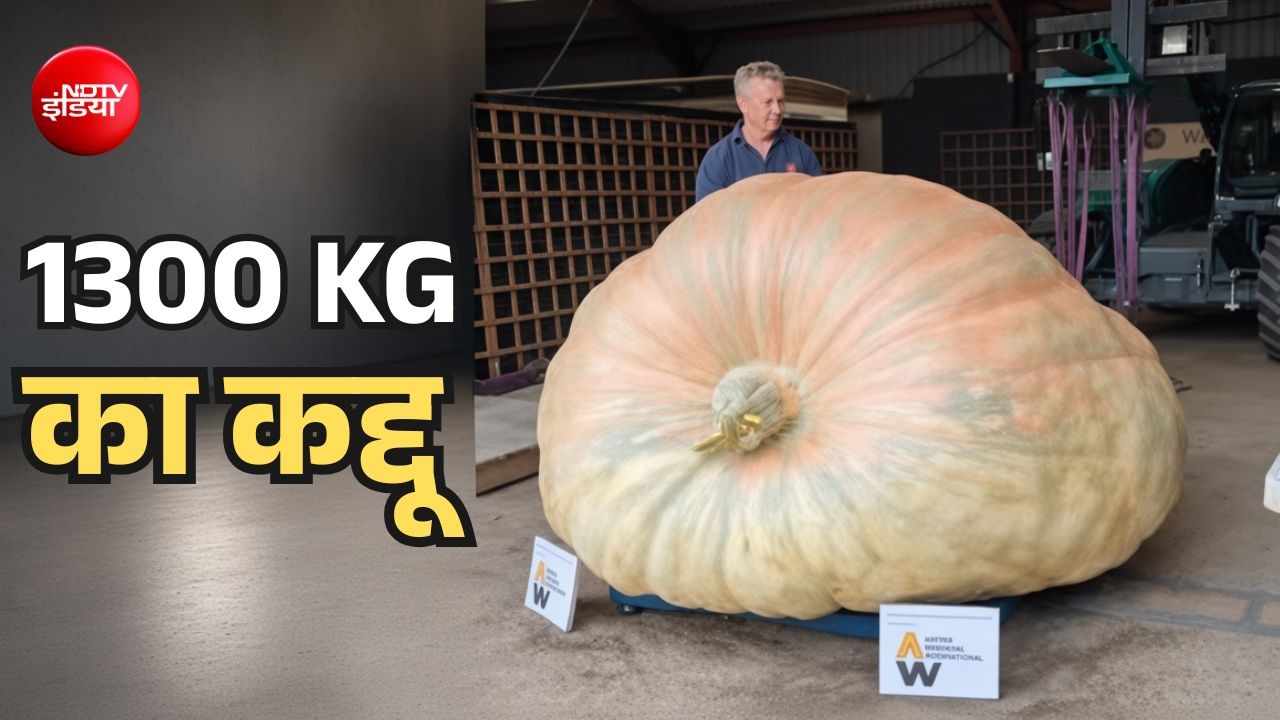 दादाजी ने उगाया दुनिया का सबसे भारी कद्दू, दरियाई घोड़े के बराबर है वजन, एक्सपर्ट्स भी हुए हैरान