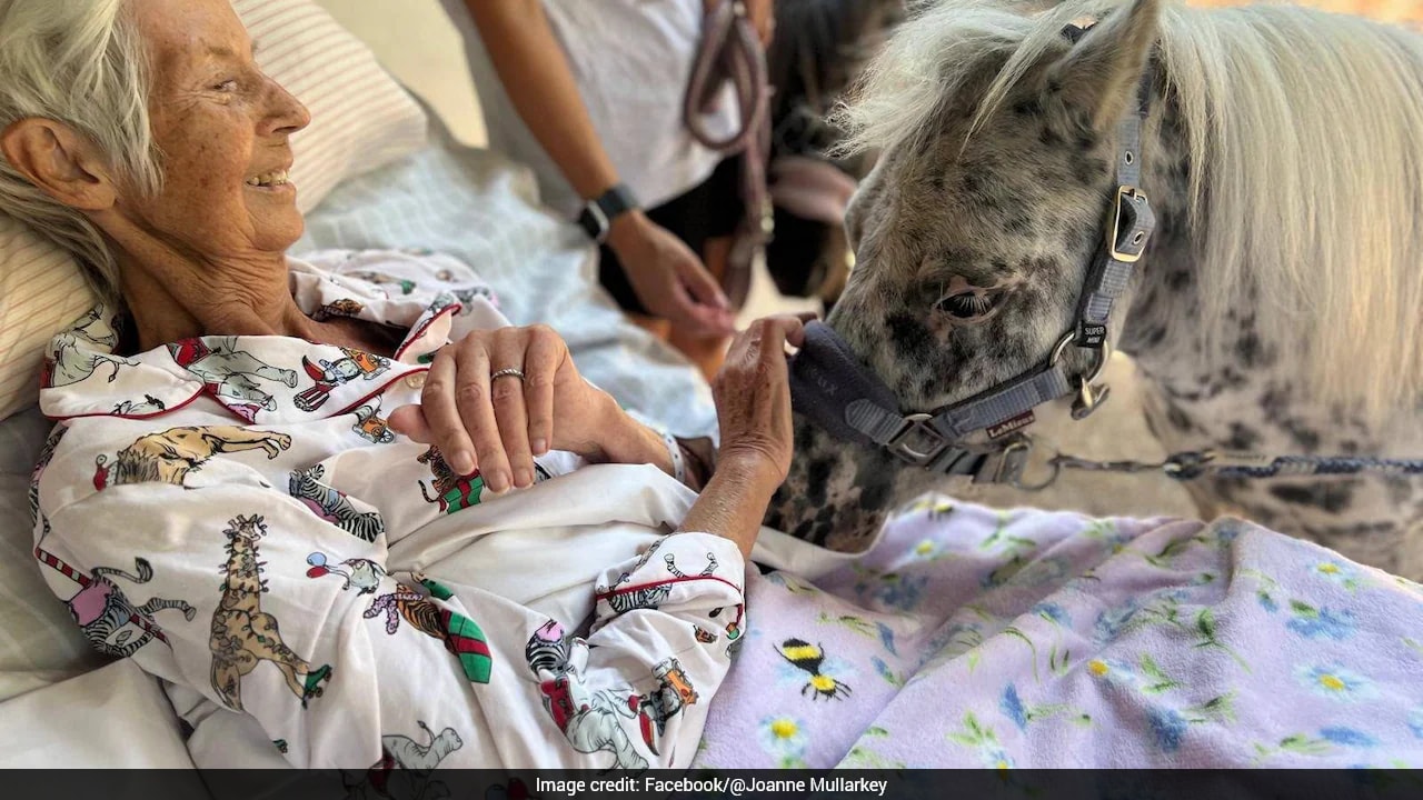 "Very Emotional Moment": Hospice Patient's Final Wish Fulfilled As Ponies Visit Bedside