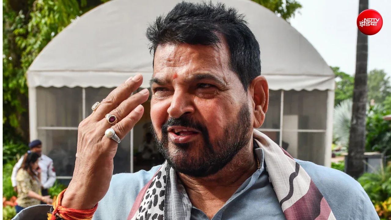 कॉकरोचों के ऊपर किसी बाहरी व्यापारी का हाथ लगता है: बृजभूषण शरण सिंह