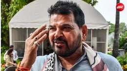कॉकरोचों के ऊपर किसी बाहरी व्यापारी का हाथ लगता है: बृजभूषण शरण सिंह