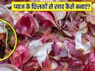 प्याज के छिलकों से खाद कैसे बनाएं? गार्डनिंग एक्सपर्ट ने बताया पौधे में कब, कैसे और कितनी बार डालें प्याज के छिलके की खाद