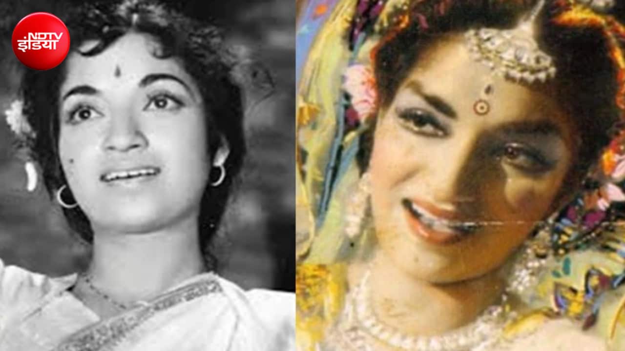 जब असली शेरों के बीच बिना बॉडी डबल के पहुंच गई थी ये एक्ट्रेस, जान जोखिम में डाल दिए खतरनाक सीन, हिम्मत देख रह गए थे सब दंग