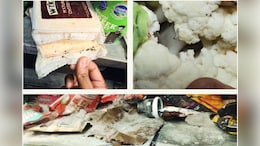 Food Safety Crackdown: Licences Of Swiggy Instamart, Flipkart, Zepto Dark Stores Suspended In Telangana