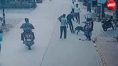 नोएडा में खूंखार कुत्ते ने छोटे पग को नोच-नोचकर मार डाला, महिला को भी पटका, CCTV हुआ वायरल