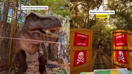 Bengaluru's First Dinosaur Park Features Life-Sized Animatronic Dinosaurs