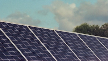 Waaree Energies Q2 Results: Net Profit Drops 15%; Revenue Rises 24%