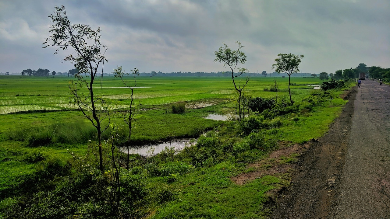 Why This Place Is Known As The Millionaire Village Of India
