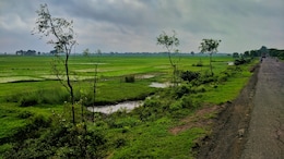 Why This Place Is Known As The Millionaire Village Of India