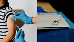 Are Vaccine Skepticism And Climate Change Causing America's Health Outbreak? Know What's Causing The Surge In Measles, Dengue Cases