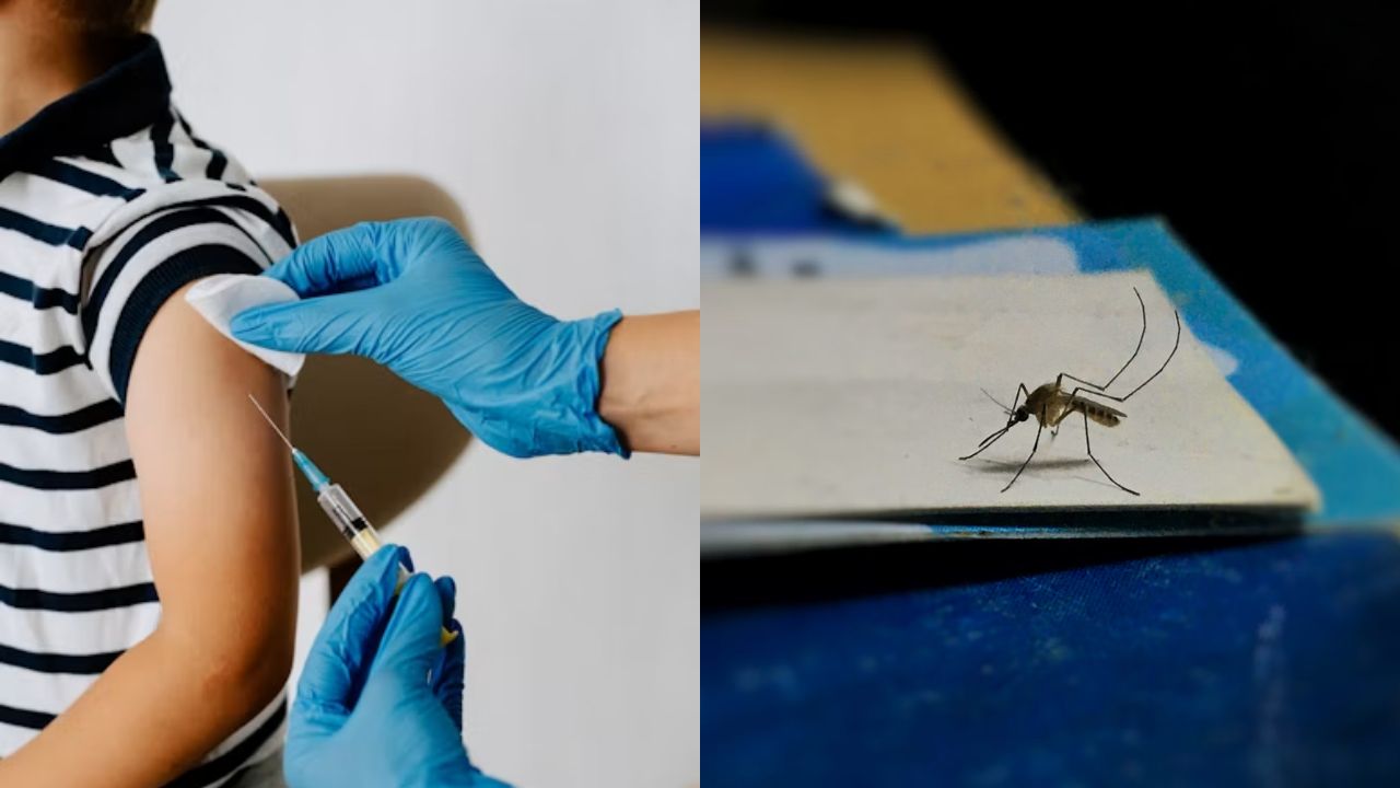 The rise in measles cases highlights the importance of maintaining vaccination coverage