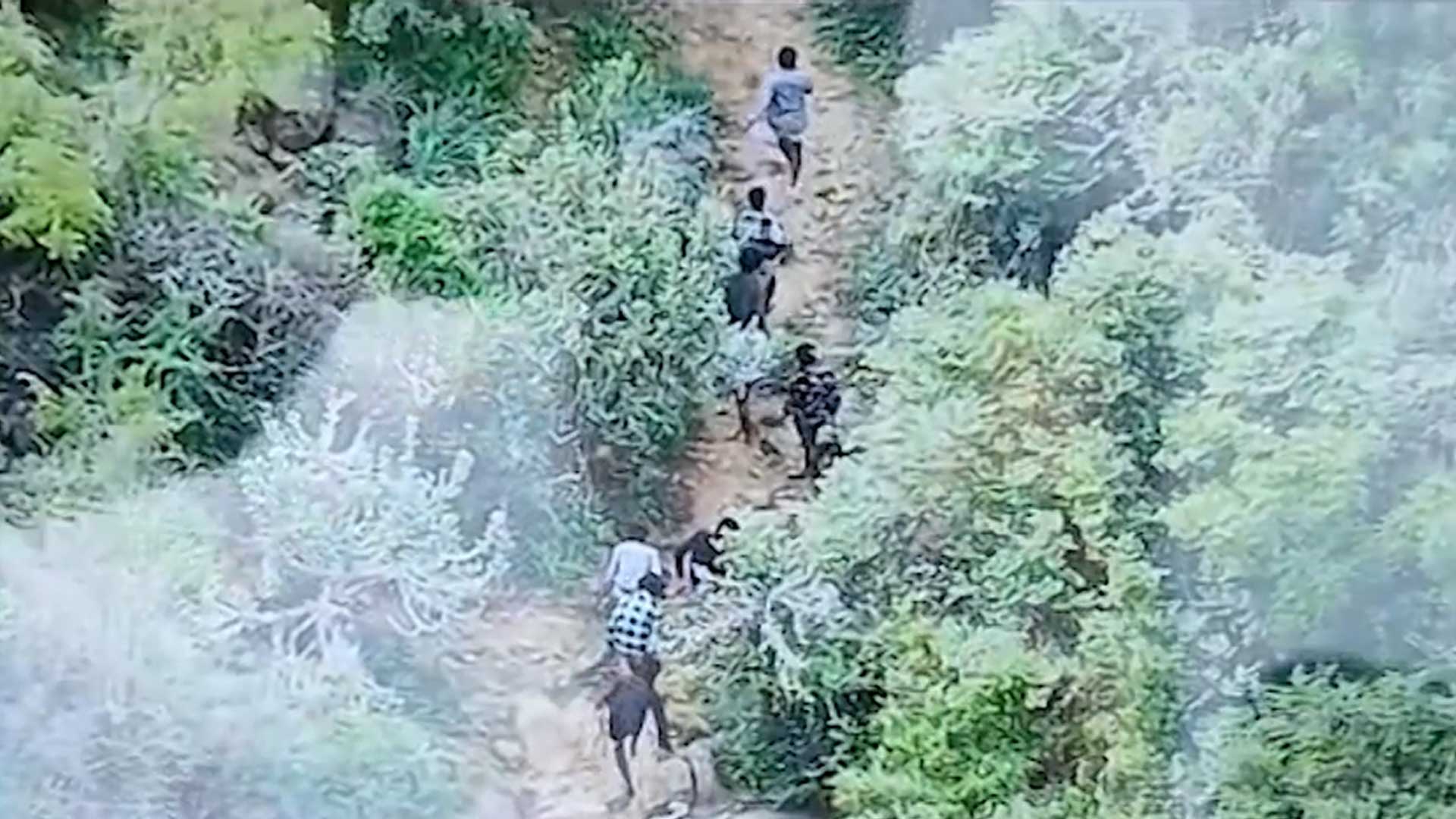 Tamil Nadu Police Use Drones To Nab 8 More Escaped Undertrials, 4 Still Missing