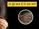 दो मुहें बाल कैसे खत्म करें? एक्सपर्ट ने बताया सबसे असरदार तरीका