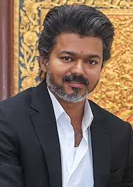Tamil Nadu CM Vijay Condemns Stalin's Remarks On Sathyabama; TVK Moves Election Commission
