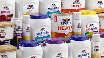Pidilite Raises Fevicol Prices By Rs 5 Per Kg In October Amid 40-50% Input Cost Surge