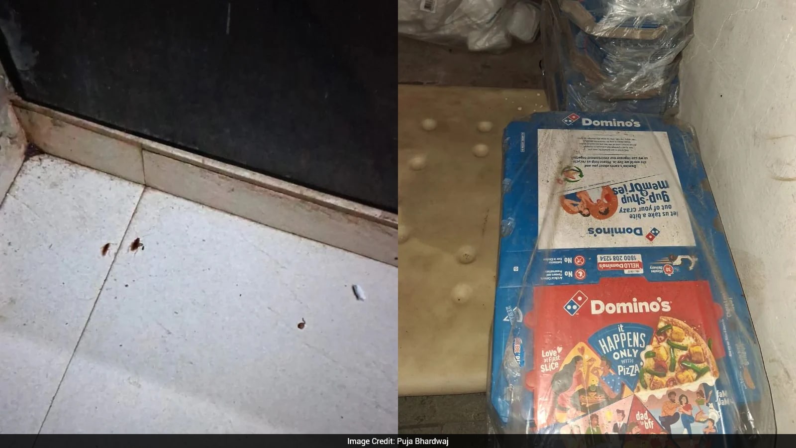 Maharashtra FDA Suspends Licences of Domino's and Other Food Outlets Over Safety Violations