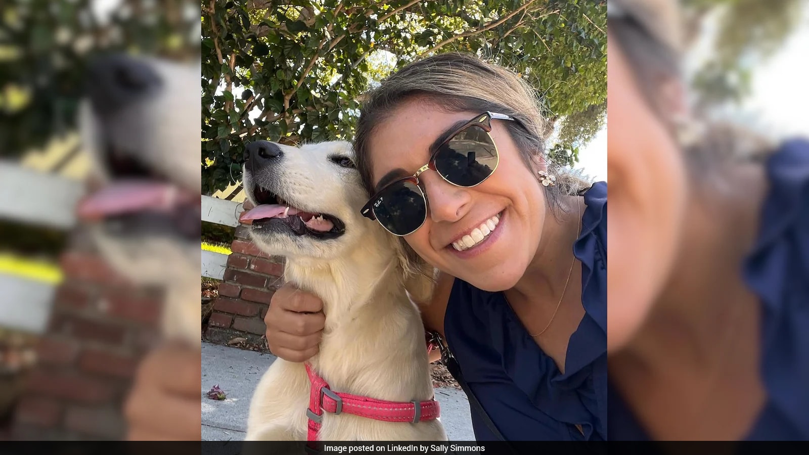 US Woman Leaves Marketing Job to Walk Dogs, Calls It Valuable Experience