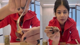 Period Cravings Got You Reaching For Sweets? Try This Easy Date Snack Before Your Period