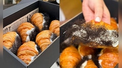 Video: This Viral 'Hairy' Croissant Is Leaving The Internet Divided