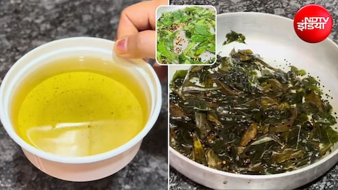 Curry Patta Herbal Oil: डैंड्रफ और हेयरफॉल से हो गए हैं परेशान? घर पर बनाकर लगाएं कड़ी पत्ते का ये हर्बल तेल, सिल्की हो जाएंगे बाल
