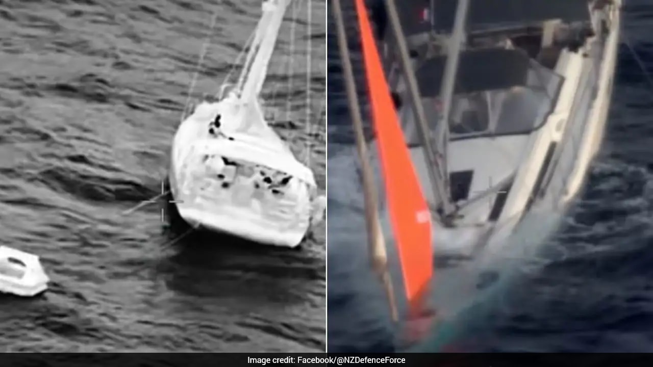 Video: 4 Sailors Survive 17 Hours At Sea After Massive Sperm Whale Sinks Yacht