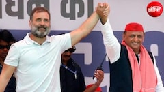 यूपी चुनाव में कांग्रेस-सपा के गठबंधन पर नया अपडेट, क्या फिर साथ आने वाले है अखिलेश-राहुल?