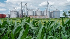 E20 Costs As Much As Petrol. So Why Is It Making Food Economics More Complex And Pricier?