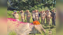 80-Year-Old Rescue Elephant Dies At Corbett Tiger Reserve, forest officials accord full state honours