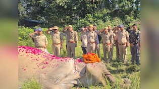 80-Year-Old Rescue Elephant Dies At Corbett Tiger Reserve, forest officials accord full state honours
