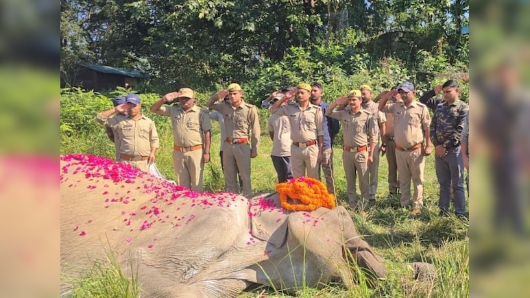 80-Year-Old Rescue Elephant Dies At Corbett Tiger Reserve, forest officials accord full state honours