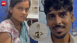 भाभी को सांप ने काटा तो संकटमोचक बना देवर, जिंदा सांप पकड़कर 20 किमी दूर पहुंच गया अस्पताल