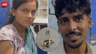 भाभी को सांप ने काटा तो संकटमोचक बना देवर, जिंदा सांप पकड़कर 20 किमी दूर पहुंच गया अस्पताल