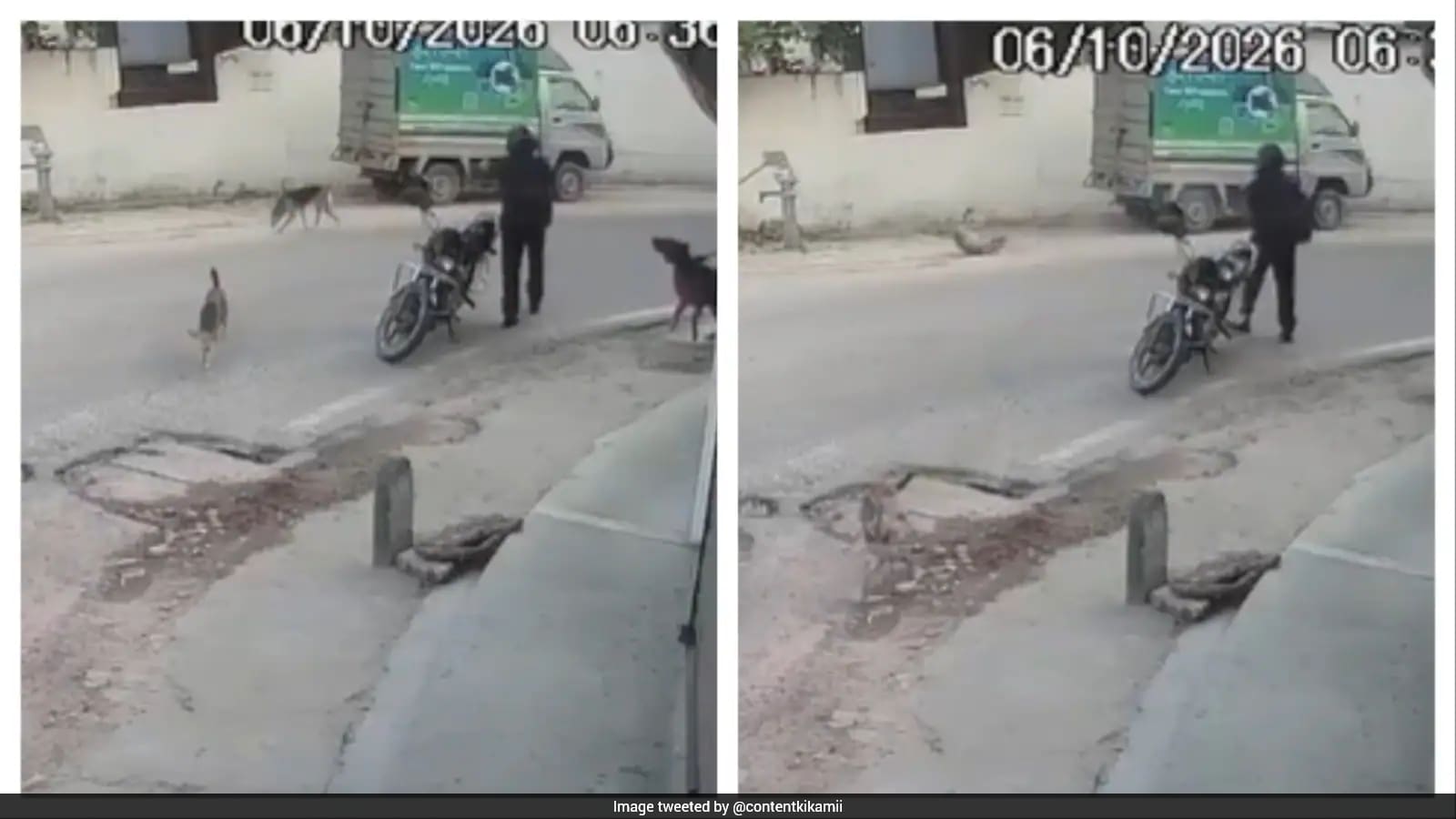 CCTV Shows Alleged Rifle Shooting of Stray Dog in Lucknow