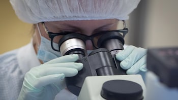 Bambusa Therapeutics Files for IPO To Fund Eczema Drug Trials