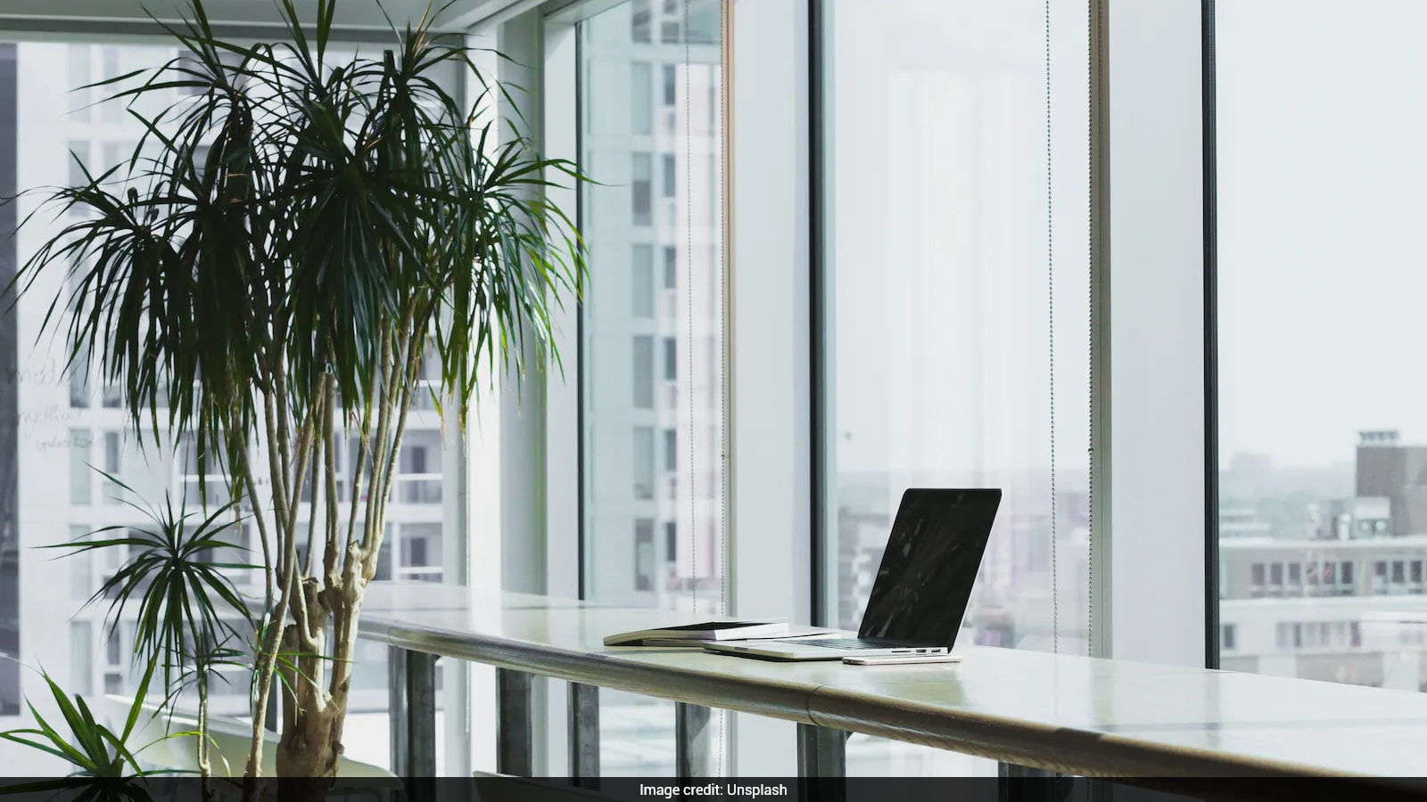 Developer Reconsiders Rejecting £77,000 London Startup Job Offer