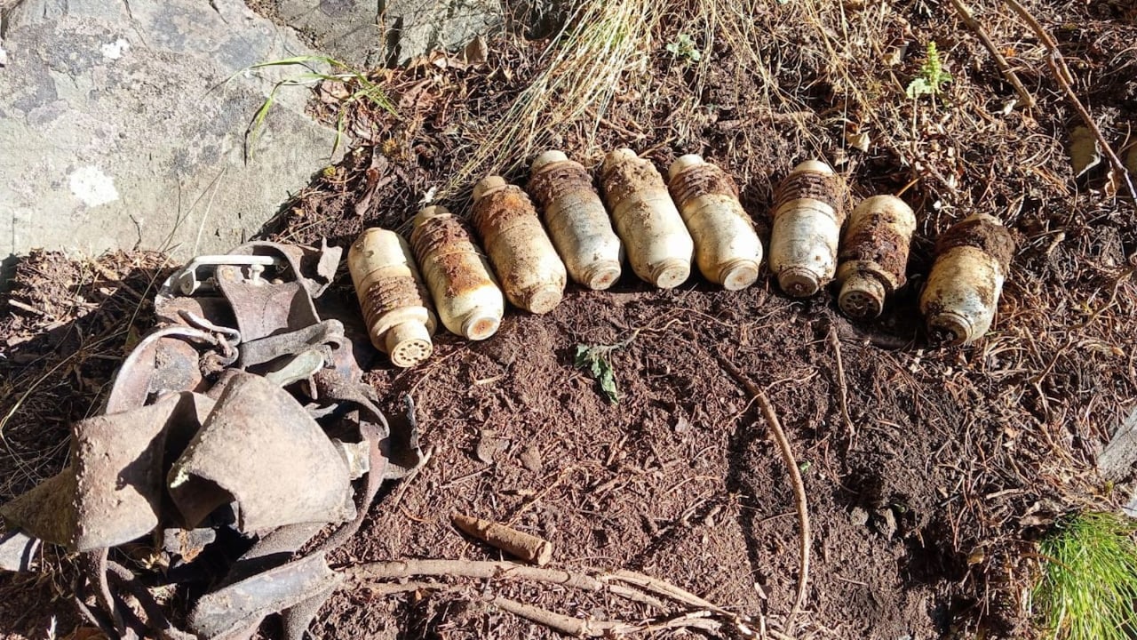 Terror Hideout Busted In J&K's Rajouri, 9 Grenades Recovered From Forest Cave
