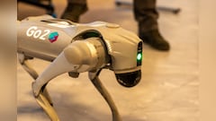This San Francisco Startup Pays Rs 1,900 Per Hour To Robot Dog Walkers For AI Training