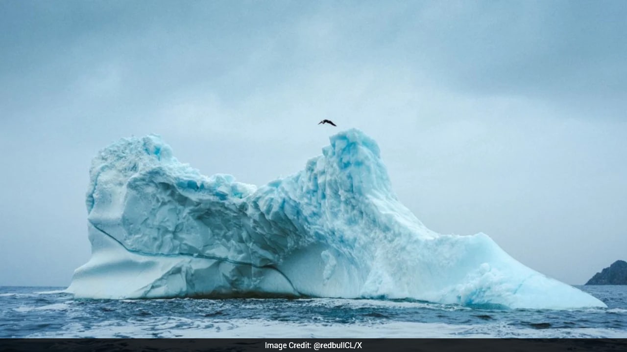 Canadian High Diver Becomes First Woman To Dive From A Free-Standing Iceberg