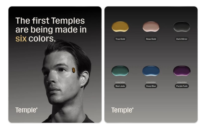 Deepinder Goyal Reveals Six Colours For Temple Ahead Of Pre-Orders
