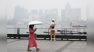 Pollution In The World's Richest Country Hits Highest Level as Indonesian Fires Worsen