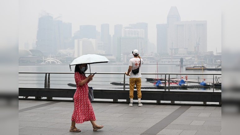 Pollution In The World's Richest Country Hits Highest Level as Indonesian Fires Worsen