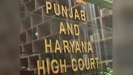 High Court Pulls Up Punjab Government's Top Officer Over Dearness Allowance Arrears
