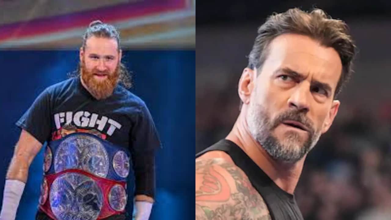 CM Punk vs Sami Zayn Net Worth Comparison 2026