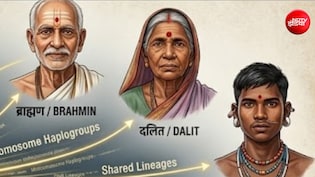 ब्राह्मण, दलित से आदिवासी तक, सबके पूर्वज एक; BHU प्रोफेसर की DNA रिसर्च में जातियों पर बड़ा दावा