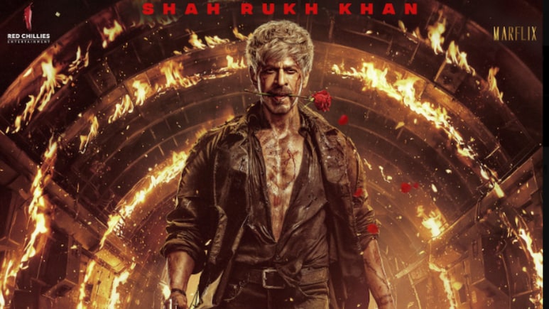 Shah Rukh Khan's 'King' Gets Fans Talking After Siddharth Anand Shares Another Cryptic Post