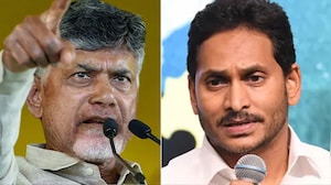 'Failed As Chief Minister, Brother': Chandrababu Naidu Attacks Jagan Reddy