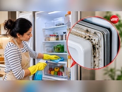 फ्रिज को कितने दिन में साफ करना चाहिए? पहले करें इस हिस्से को साफ, छिपी होती है सबसे ज्यादा गंदगी