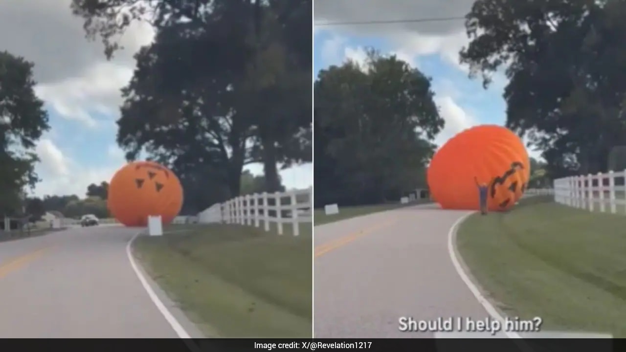 'This Is Not AI': Giant Runaway Pumpkin Breaks Free, Rolls Down Road In US, Video Goes Viral