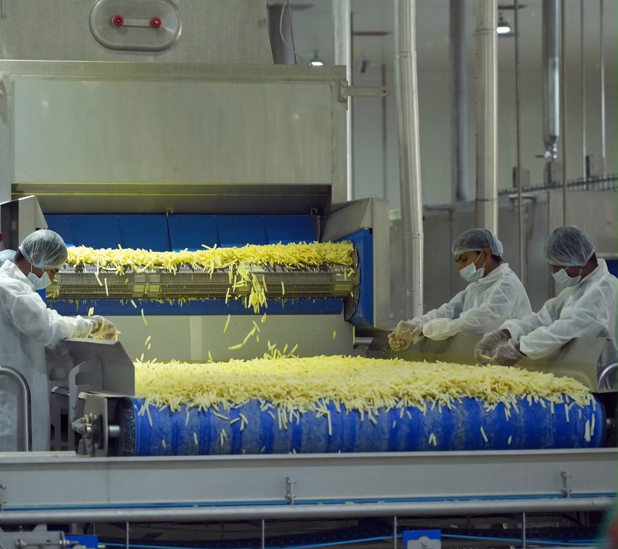 This Factory Produces 5 Tonnes Of French Fries An Hour. PM Modi Shares Pics